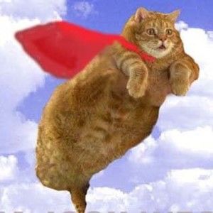 Meet your Posher, Amrinder